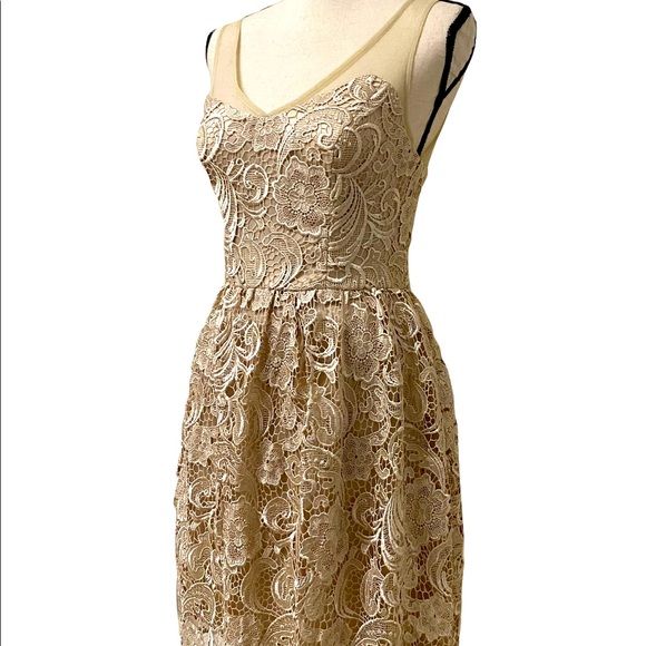 ADRIANNA PAPELL Lace Illusion Midi Size 4 - Picture 13 of 15